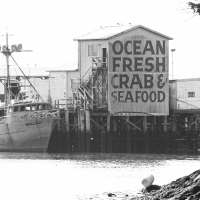 Ilwaco Seafood Shack #49